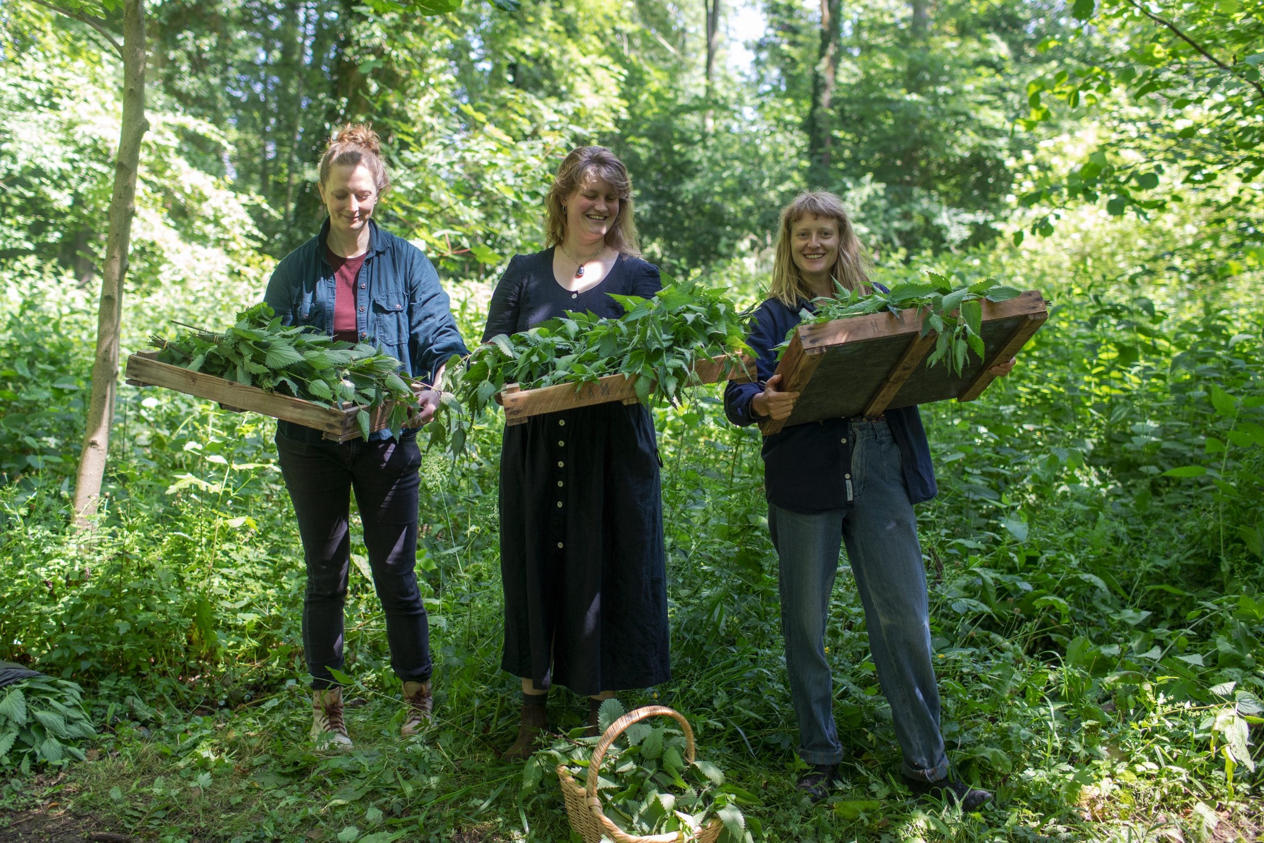 Wildplukdag: bramenblad, brandnetel en paardenkastanje