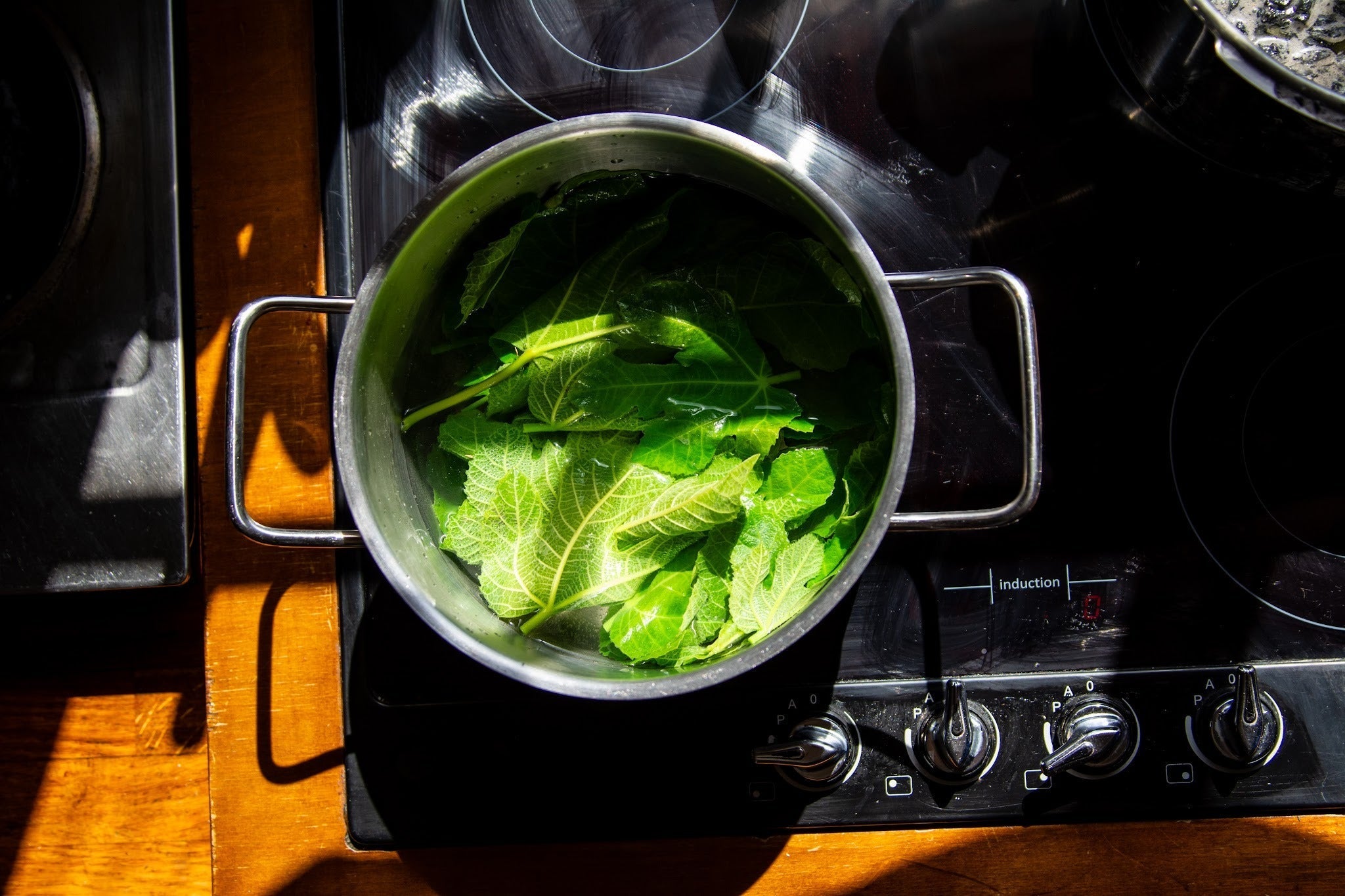 Recept voor vijgenbladsiroop