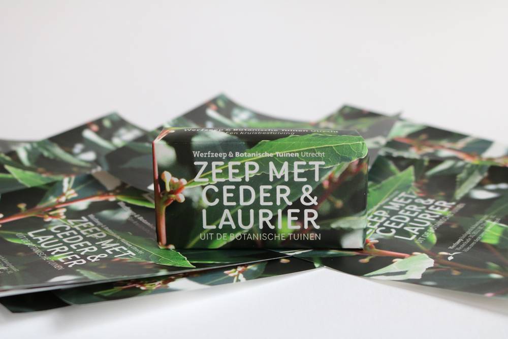 Botanical Gardens Soap III - cedar & laurel