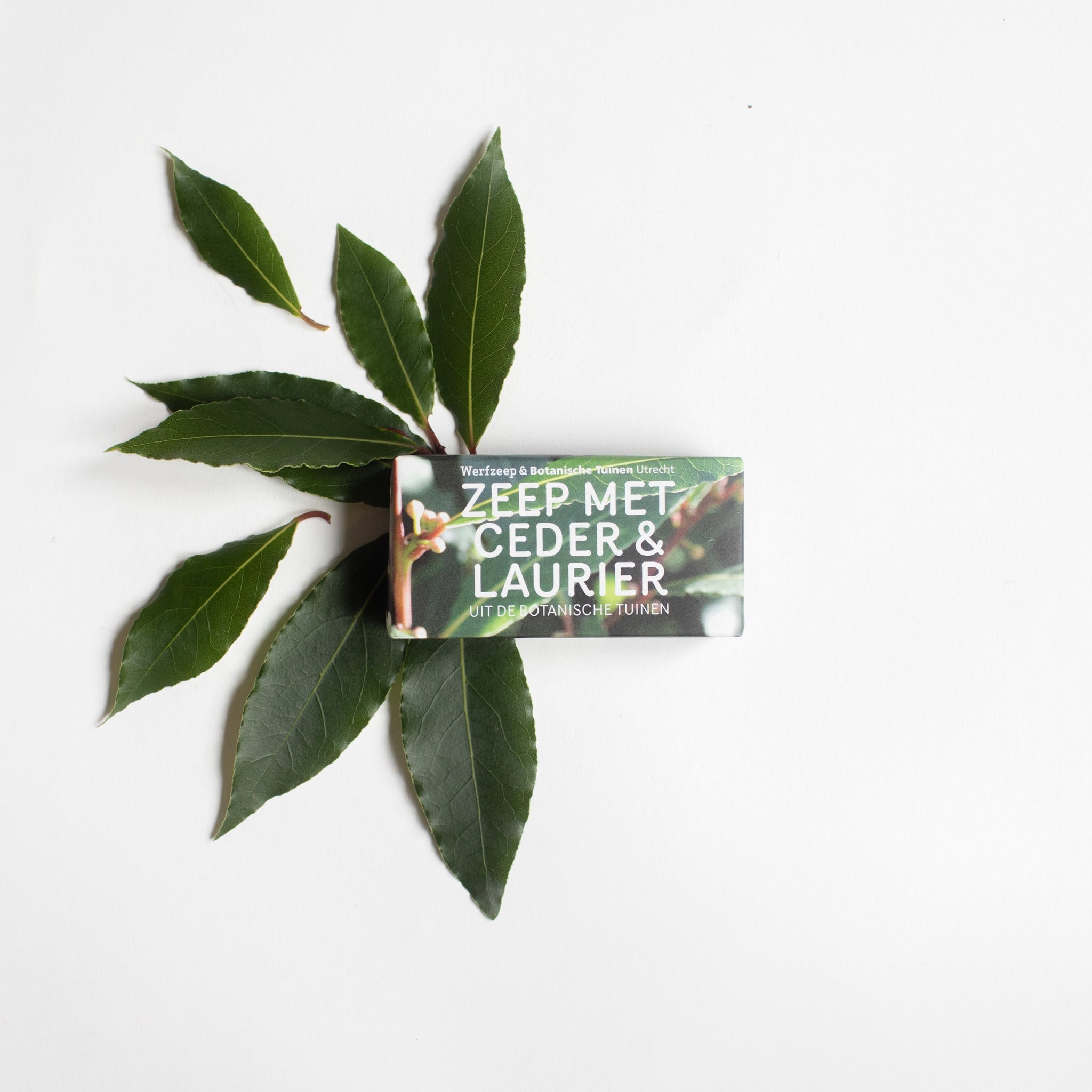 Botanical Gardens Soap III - cedar & laurel