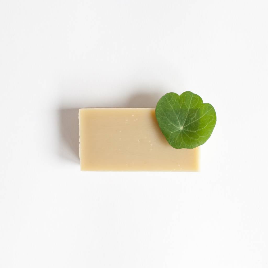 Kruidenshampoo