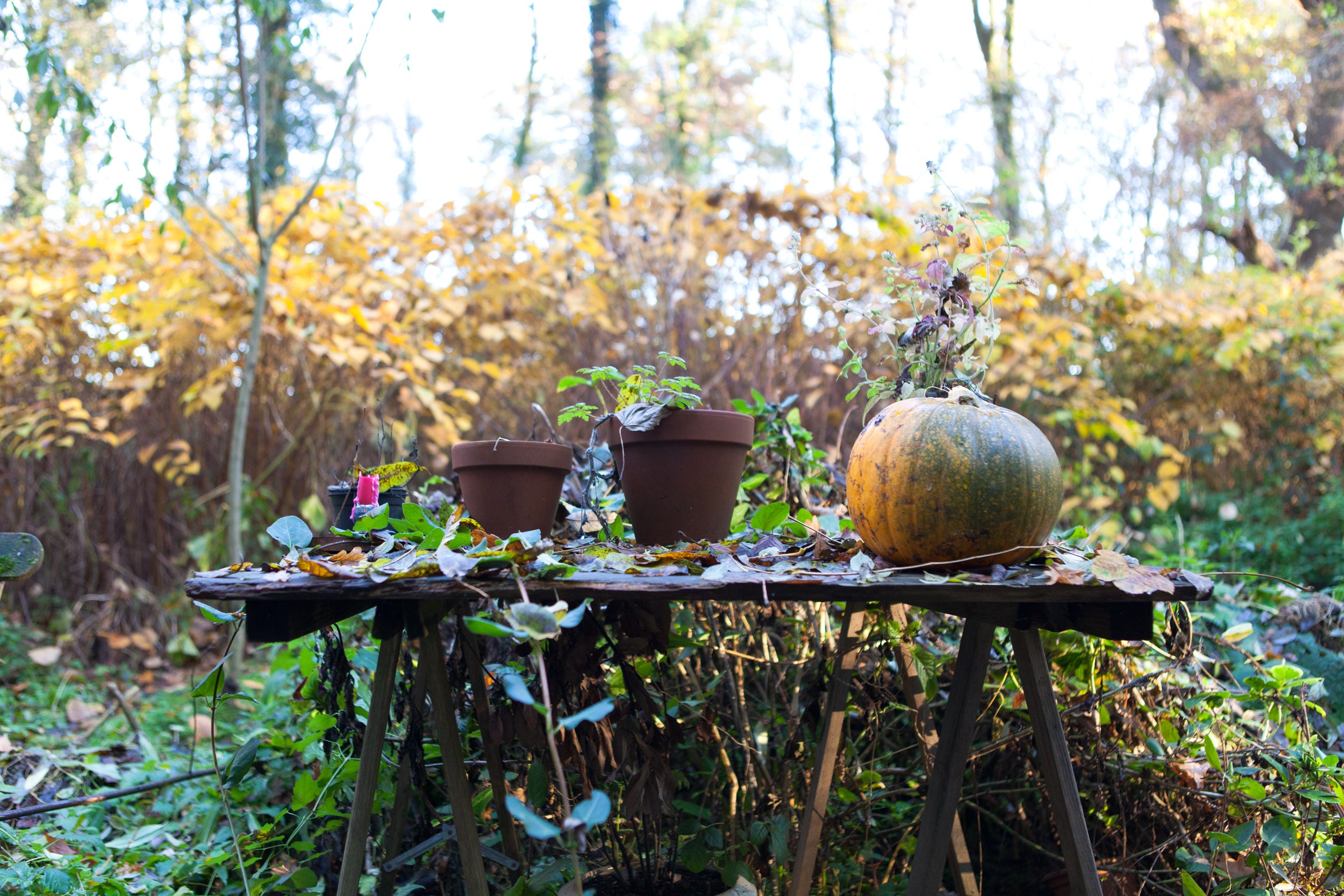 Werfzeep bos zeep herfstzeep herfstbos