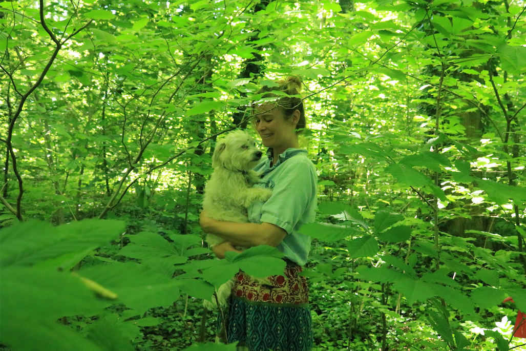 Wildplukoogst in het bos