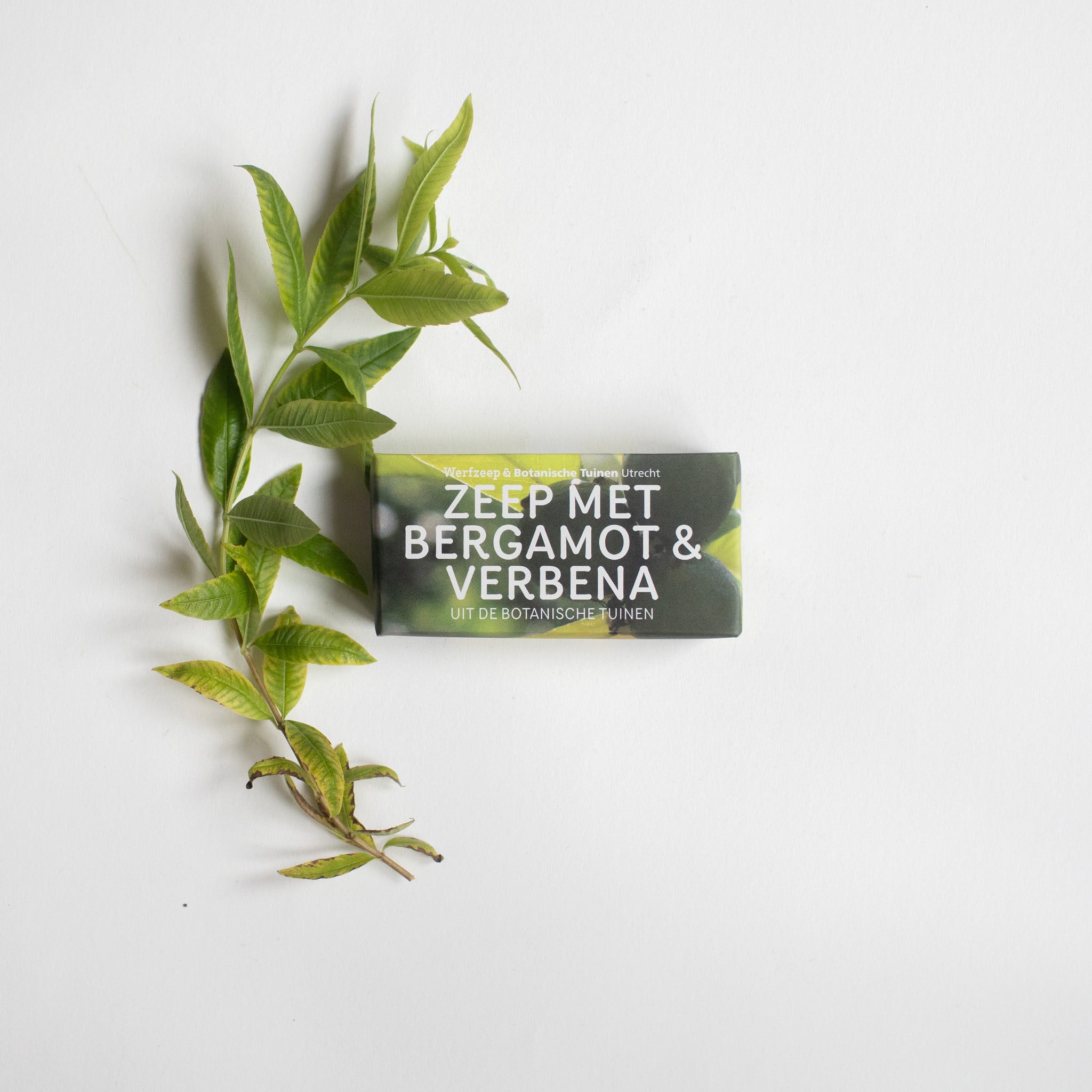 Botanical Garden Soap II - bergamot & verbena