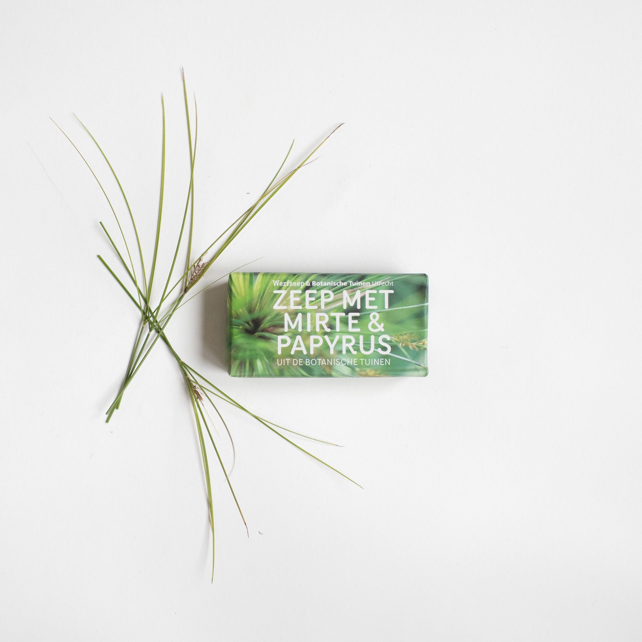 Botanical Garden Soap I
