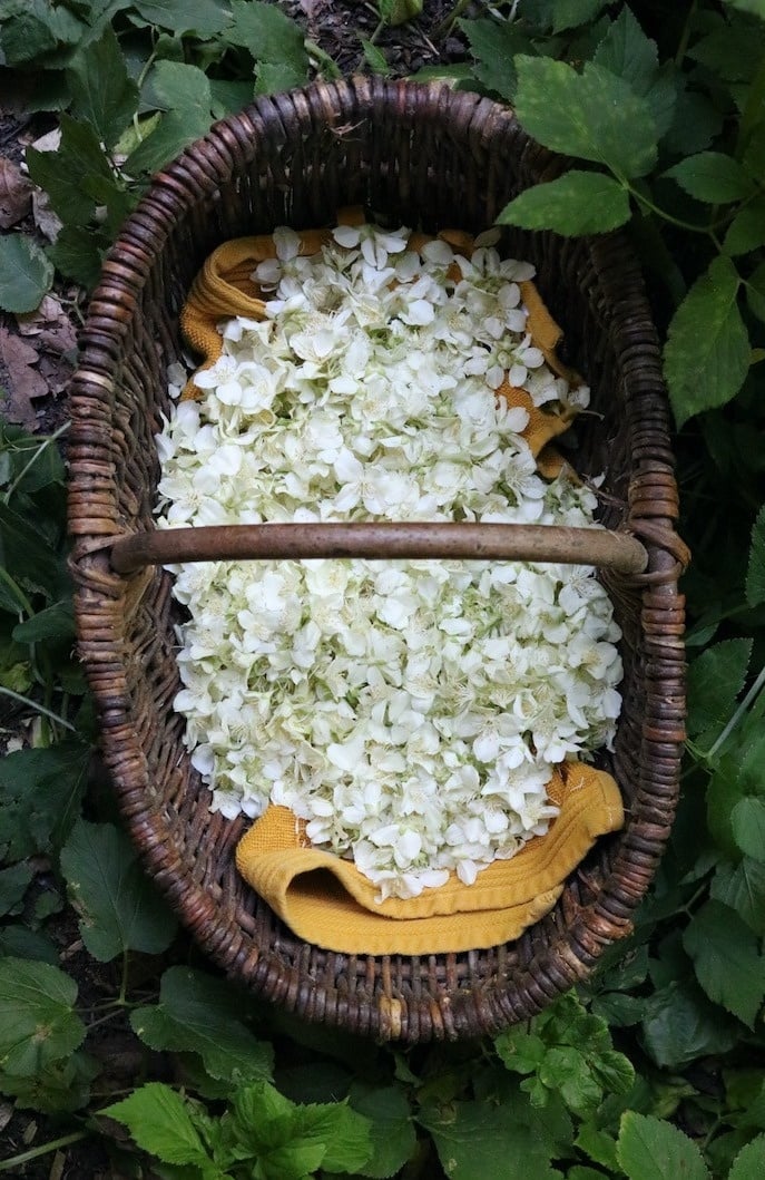 Seizoenszeep zomer